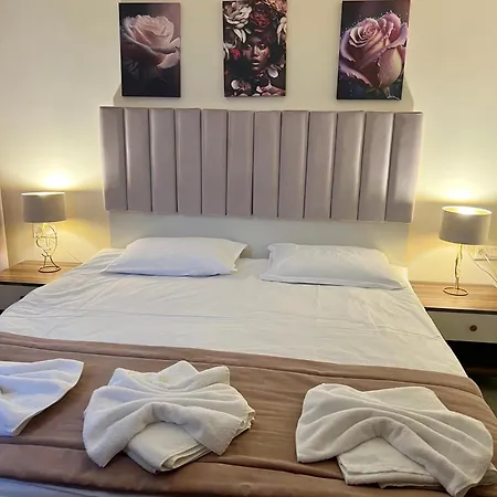 Floral Boutique 3* Plevne